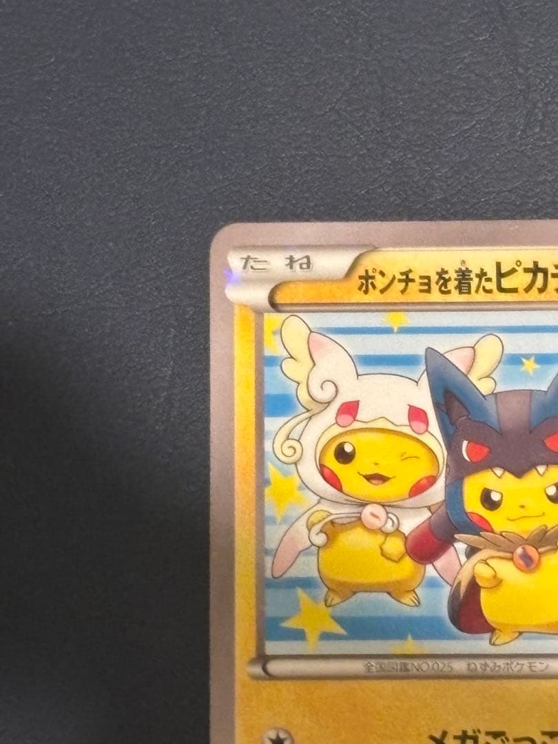 ポンチョを着たピカチュウ：ピカチュウのメガキャンペーン第1…