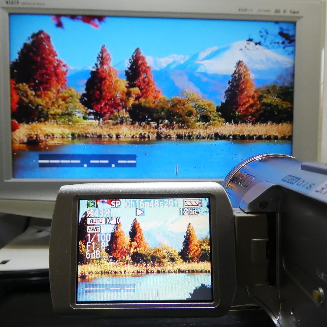 動作良好 パナソニックNV-GS250 MiniDVビデオ DVD化に最適 !