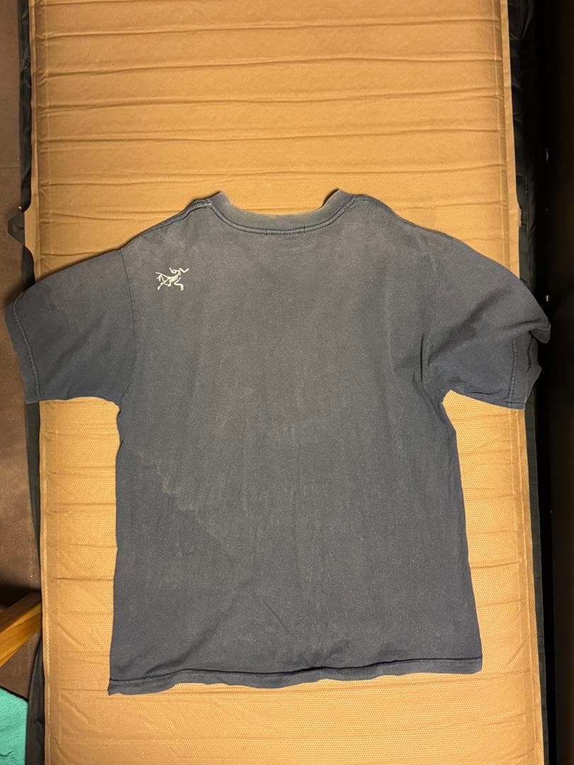 貴重品 日本限定 arcteryx 漢字 大入 始祖鳥 Tシャツ M - メルカリ