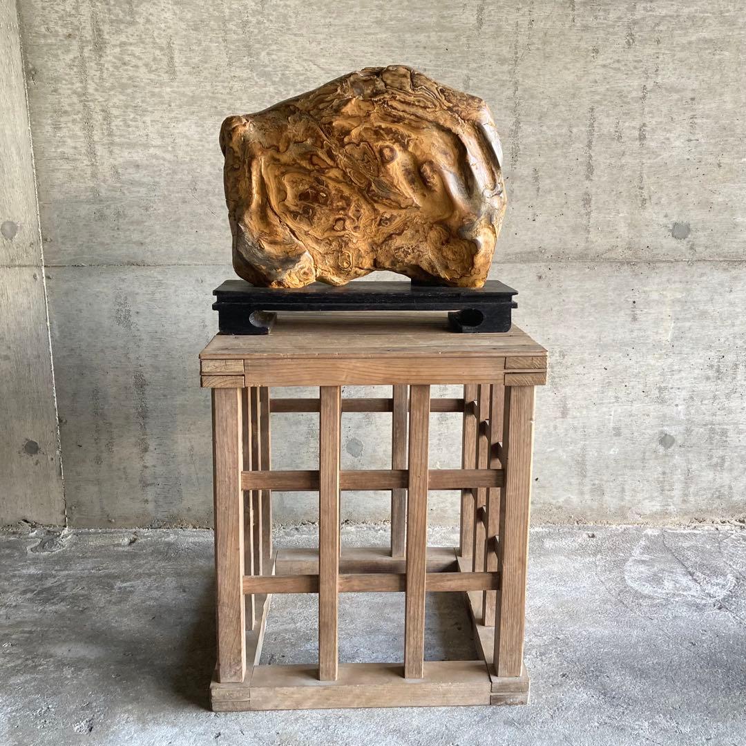 木化石 珪化木 天然 大型 置物 オブジェ 花器 フラワーベース 台座付