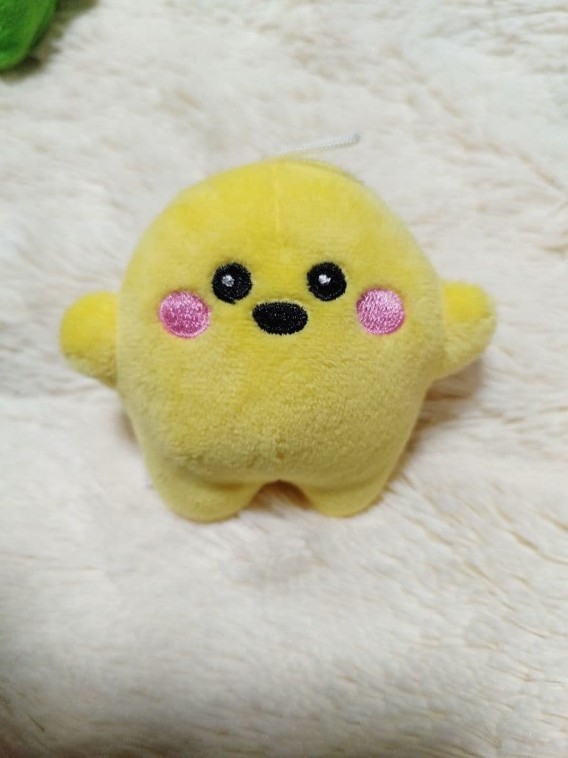 ドイツ 小 サーキュラーちゃん ぬいぐるみ 6色6体 【送料無料] 再販