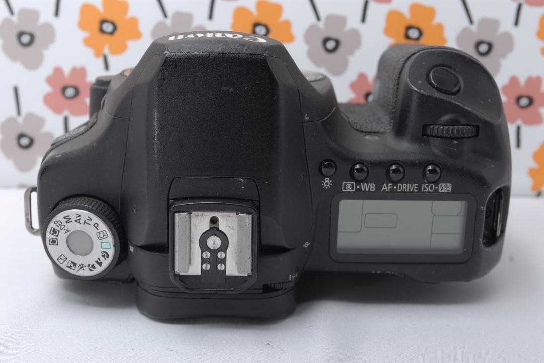 ❤Canon 50D❤ハイアマ必見お手頃中級機！❤撮影基本セット❤プロ