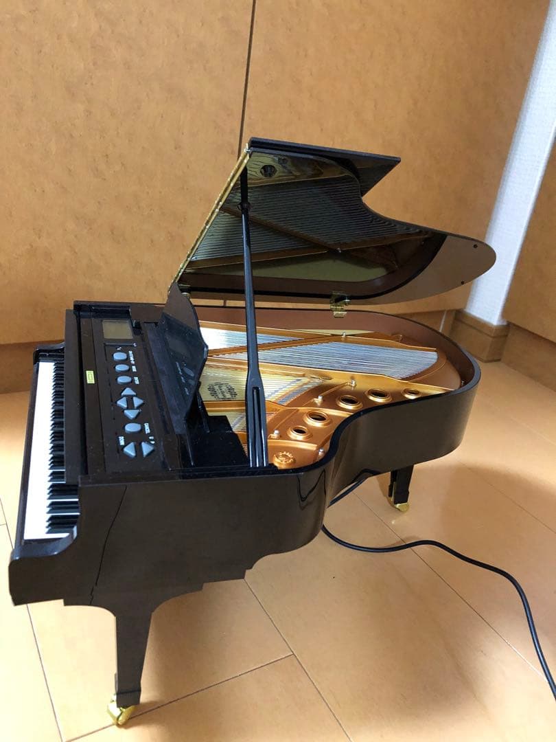 カッパ様専用Grand Piano 88鍵 ブラック セガトイズ