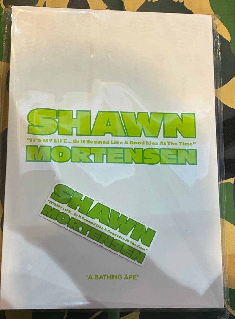 XLサイズ BAPE Shawn Mortensen Biggie Tee