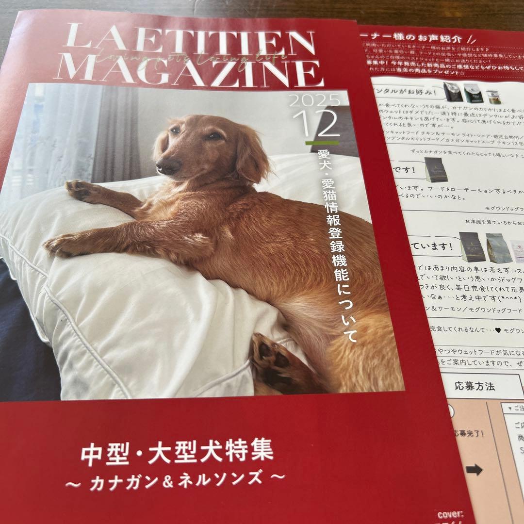 ネルソンズドッグフード 中型犬、大型犬パピーお勧め