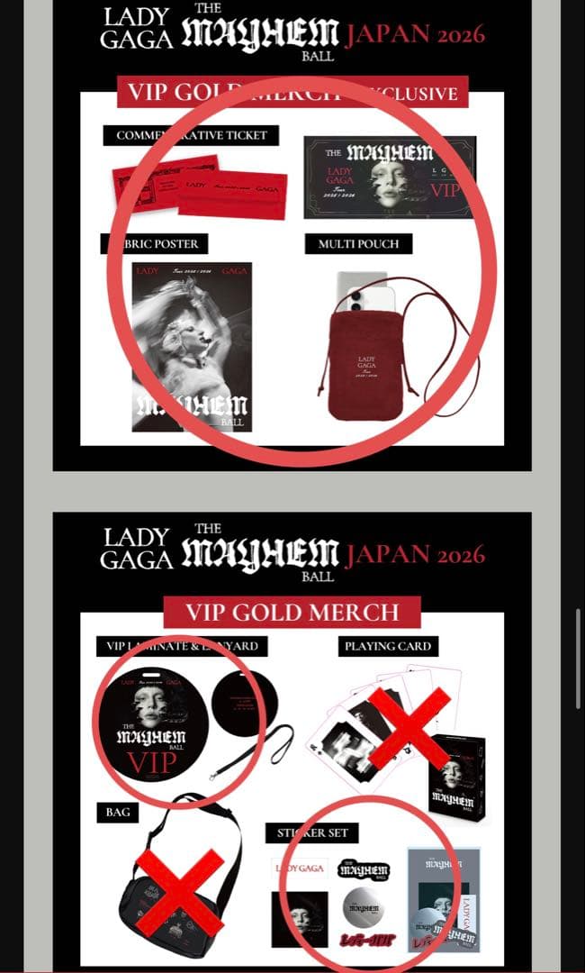 Lady Gaga The MAYHEM Ball VIP 特典 MAYHEM Ball VIP merchandise includes a bumbag and a pack of cards