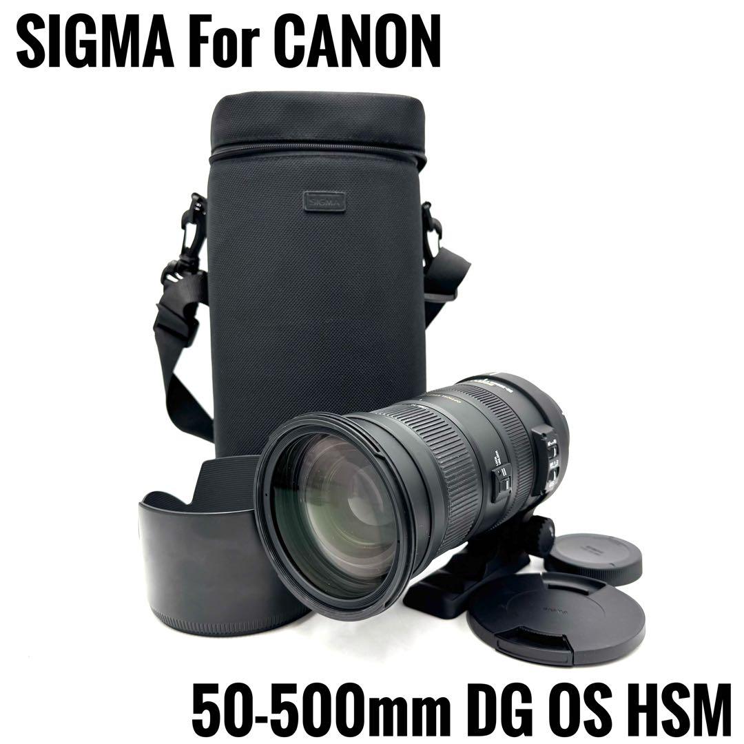 ❁大迫力！超望遠❁SIGMA 50-500mm DG OS HSM キャノン用 - メルカリ