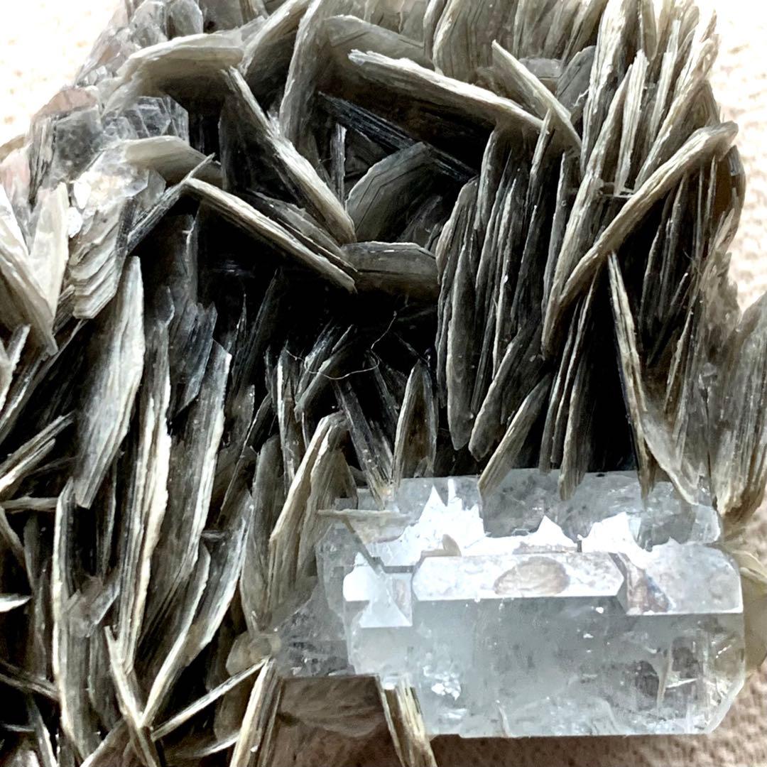 アクアマリン×モスコバイト共生標本-9の通販はau PAY マーケット