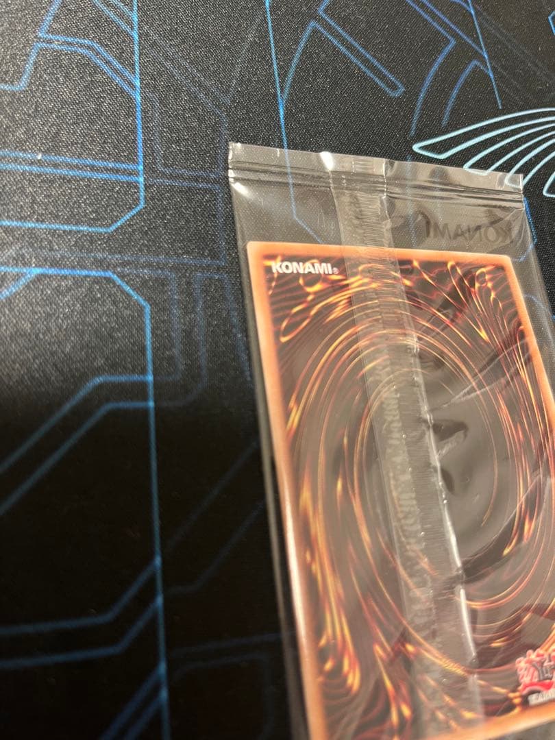 日本選手権　プロモ　値下げ不可