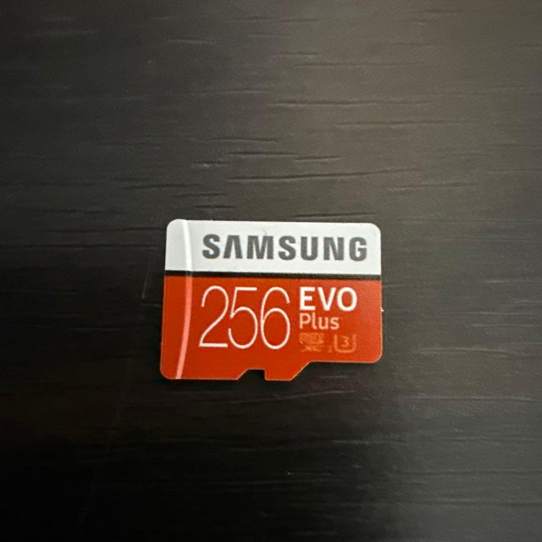 Nintendo Switch 本体 初期型 microSD 256GB付き