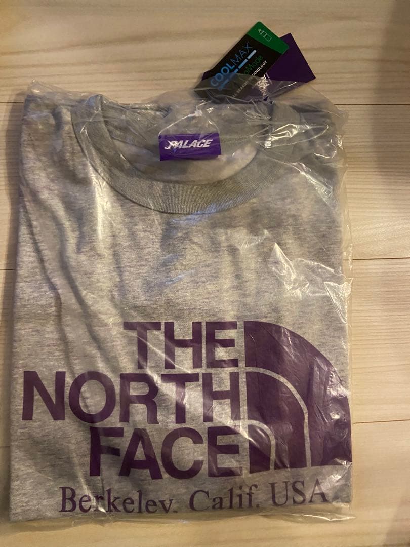 PALACE The North Face Graphic Tシャツ グレー M