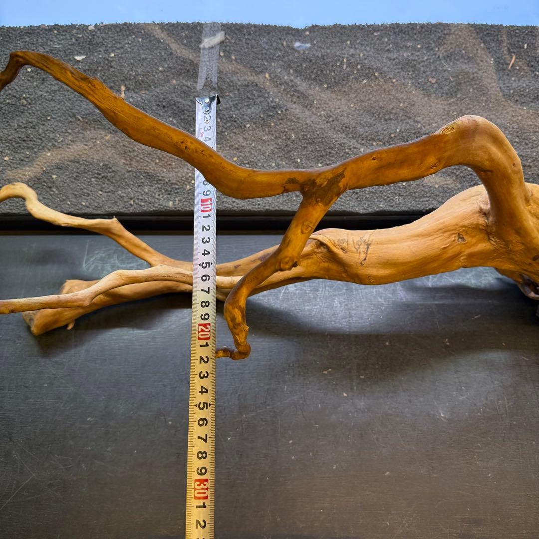 MDW-6921 特大ブランチウッド 流木 枝流木 アクアリウム