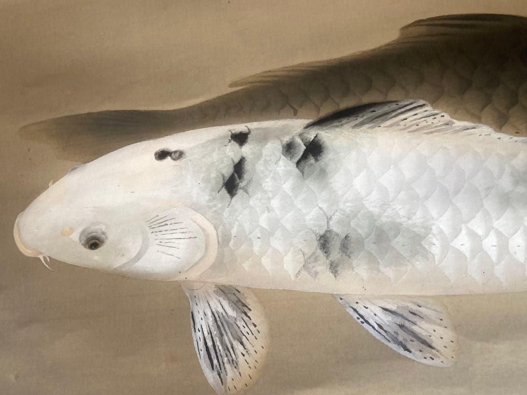 完全ジャンク品 白玲 五月鯉図 掛軸 山口玲煕 清流 | 掛軸(