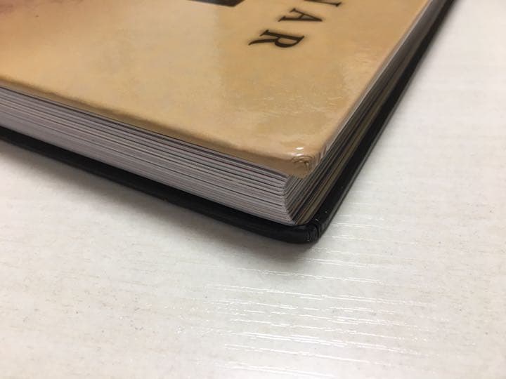 洋書　アントン・モルナー　画集　Gefrodinspex Collector