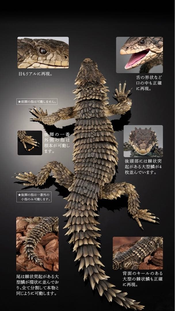 いきもの大図鑑 アルティメット オオヨロイトカゲ バンダイ オンラインガシャポン