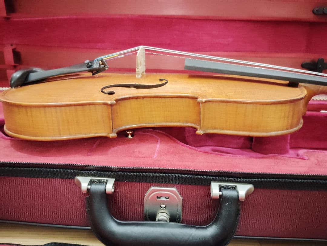 極美品GLIGA Fecit Anno 2014 Gems 1 4/4バイオリン - メルカリ