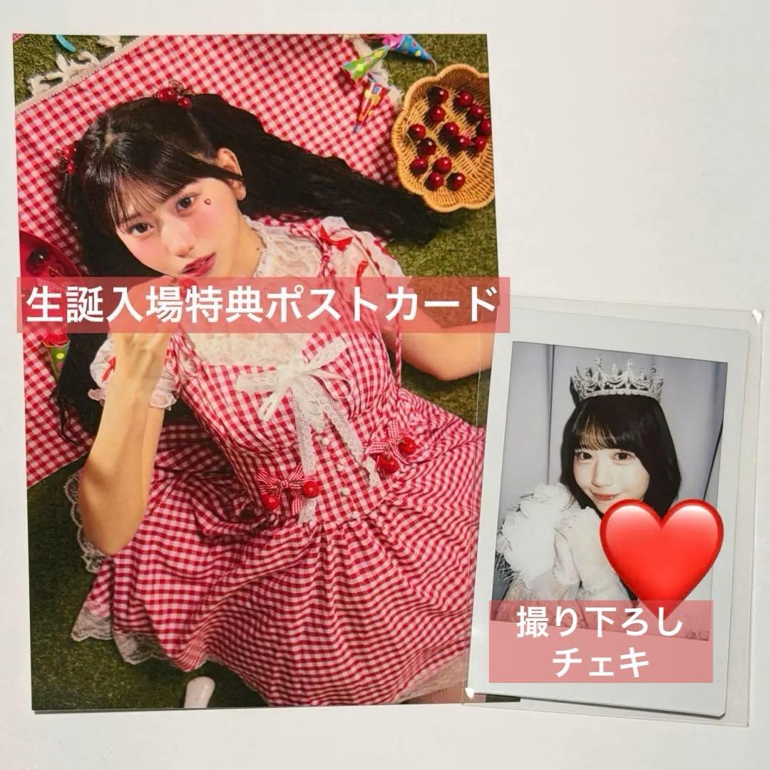 SWEET STEADY 白石まゆみ 生誕 撮り下ろしチェキ 生誕入場特典付き