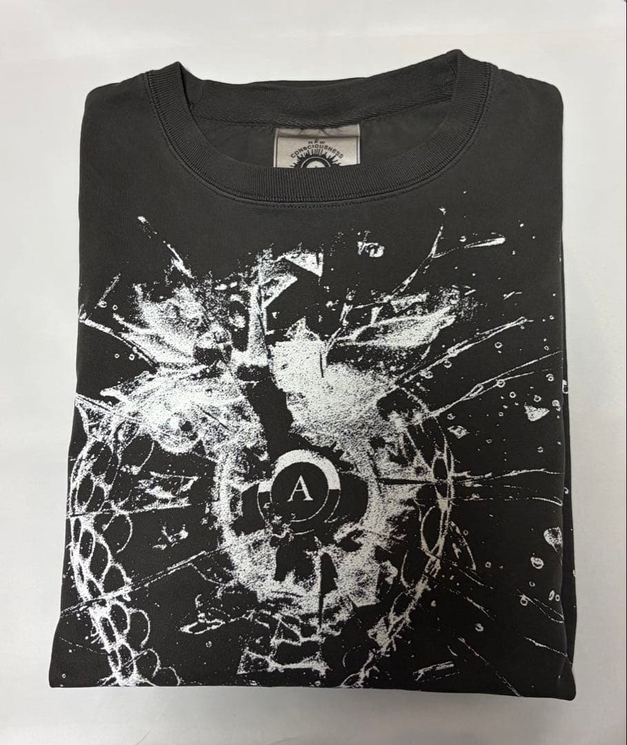 insane ANARCHIC ADJUSTMENT L/S Tee XL - メルカリ