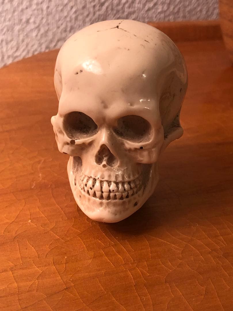 ビンテージ スカル 髑髏 骸骨 ネイバーフッド ミッドセンチュリー レトロ