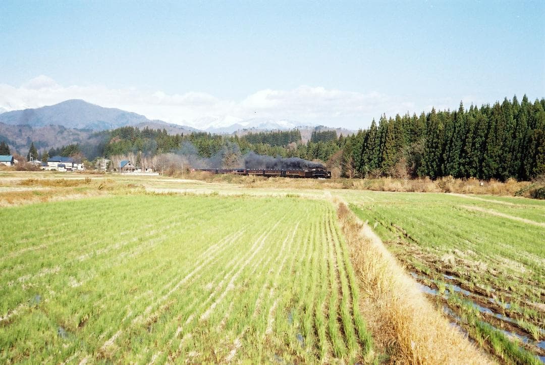 実写確認整備品】キャノン L2／50㎜f2.8ゼブラ・フード付