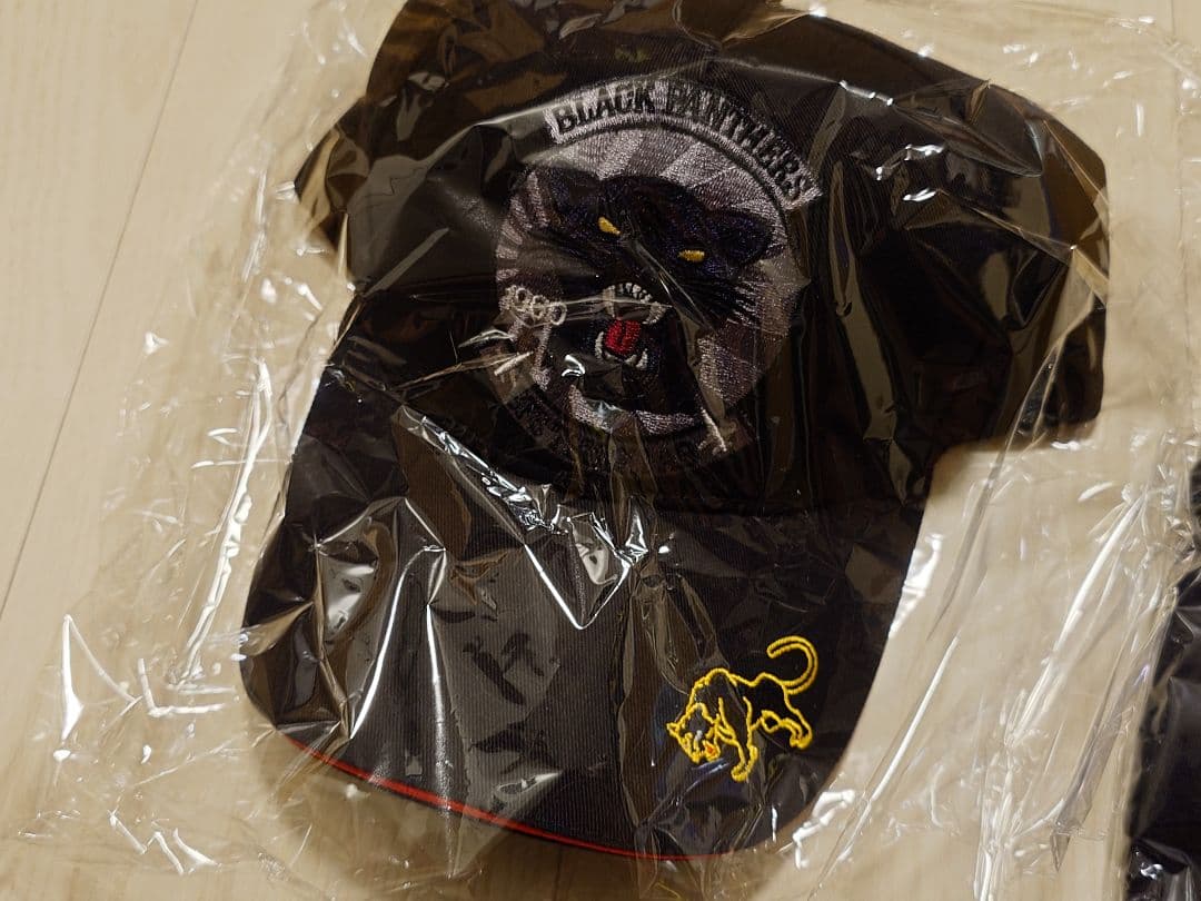 【未使用品】ディアゴスティーニ F2戦闘機をつくる 1巻〜100巻＋追加パーツ等