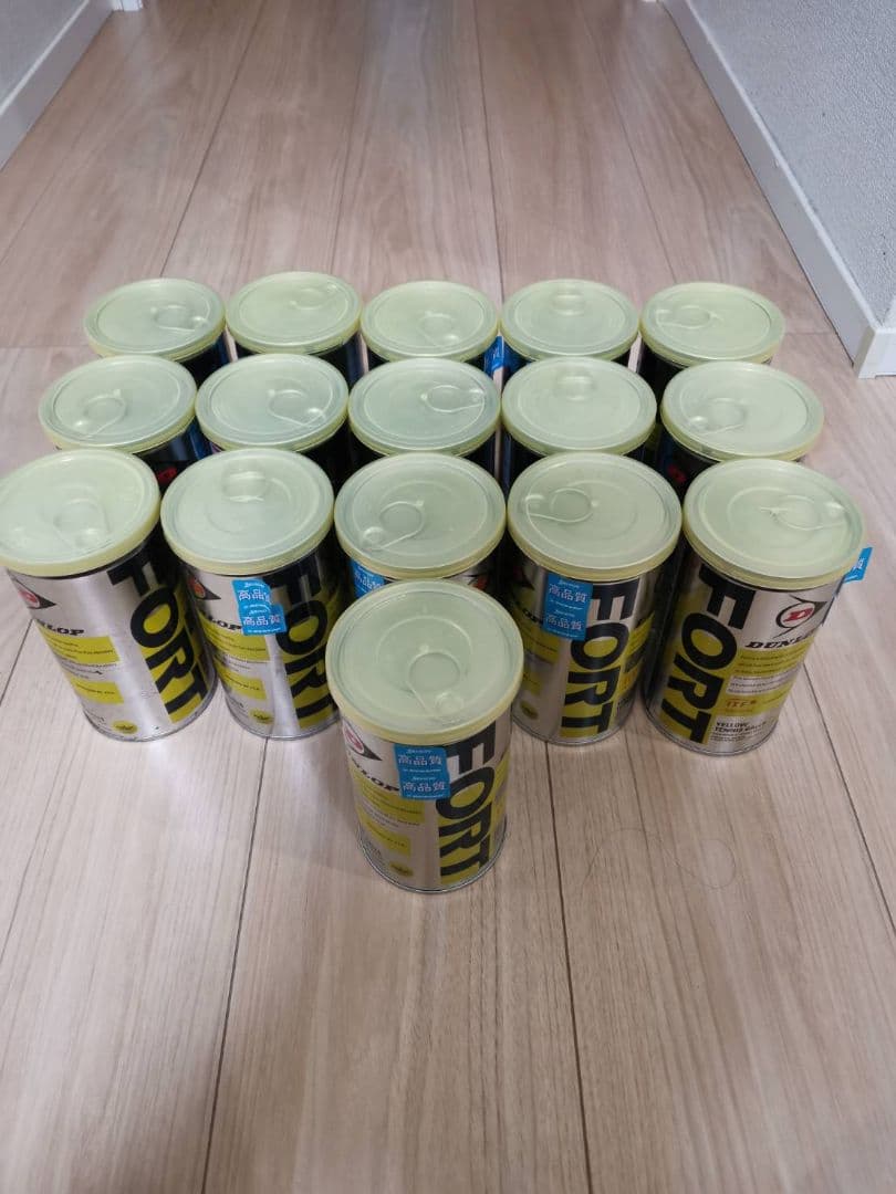 DUNLOP FORT テニスボール 2球×16缶 ダンロップ FORT フォート 2球缶 DFFYL2TIN 2球入り 硬式テニス