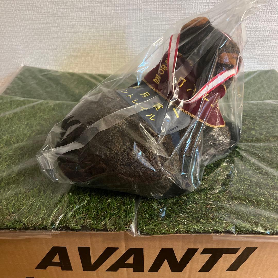 AVANTI社製 Sサイズ　ぬいぐるみ コントレイル 皐月賞 ダービー 菊花賞