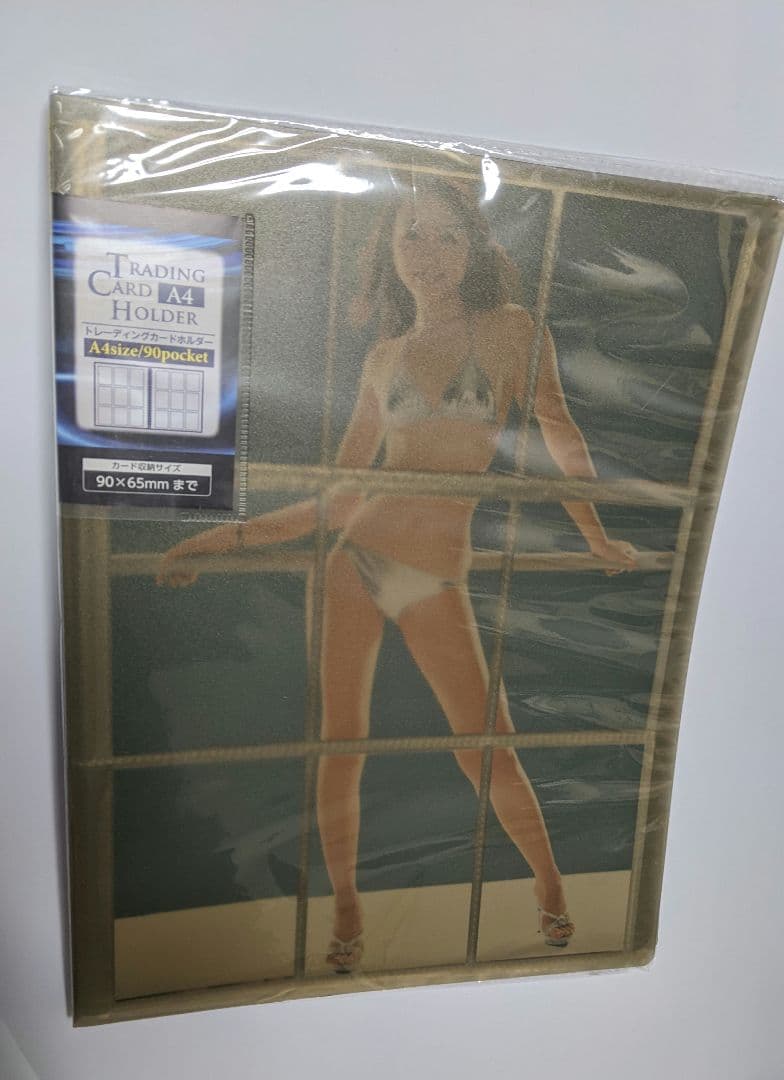 杏さゆりBOMB ボム 2004 ANZU 他…90種類セット…クリアファイル付