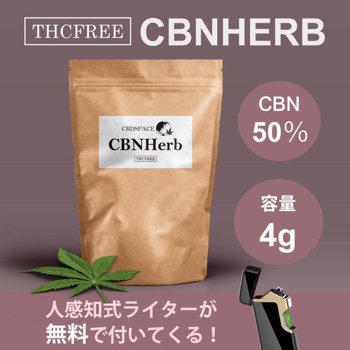 piece of 工場 cake様専用 CELINE セリーヌ トリオンフ マカダム