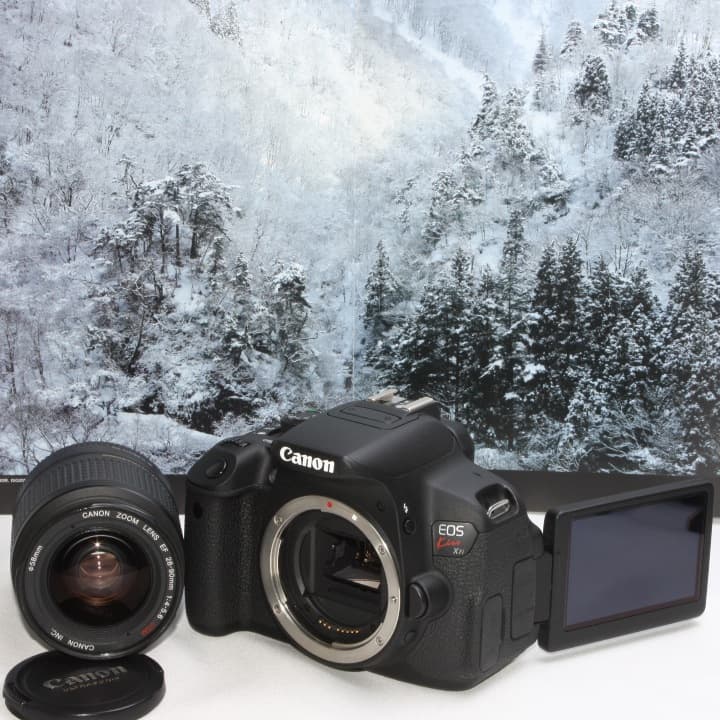 オールドボトル アイラ バイオレット コニャックカスク 33年 (188)