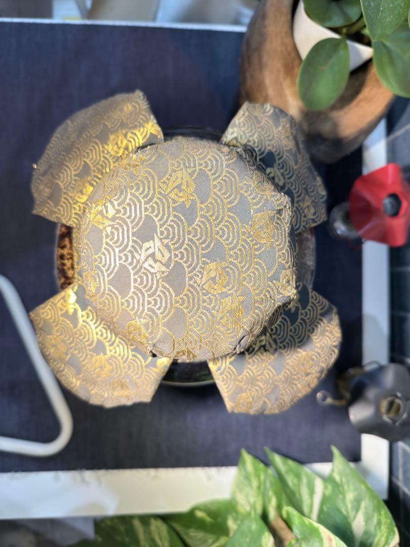 名工【加藤健】源九郎窯 志野茶入 飾壷 完品 網仕覆付 茶道具 時代