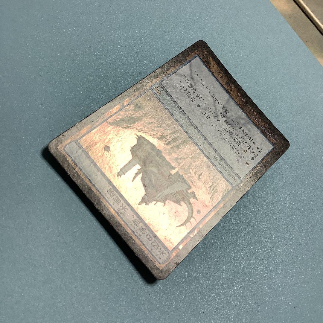 水辺の学舎、水面院CHK日本語foilCABaN コットンカシミヤ バイカラーV