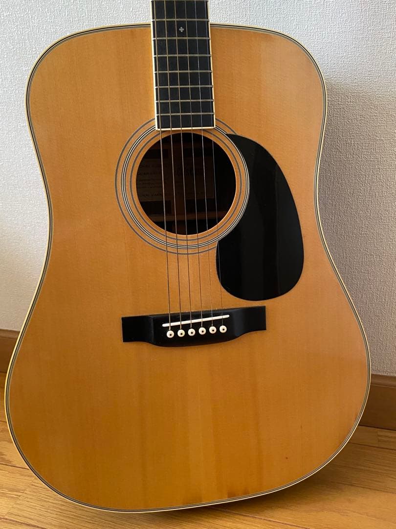 Cat's Eyes アコースティックギター