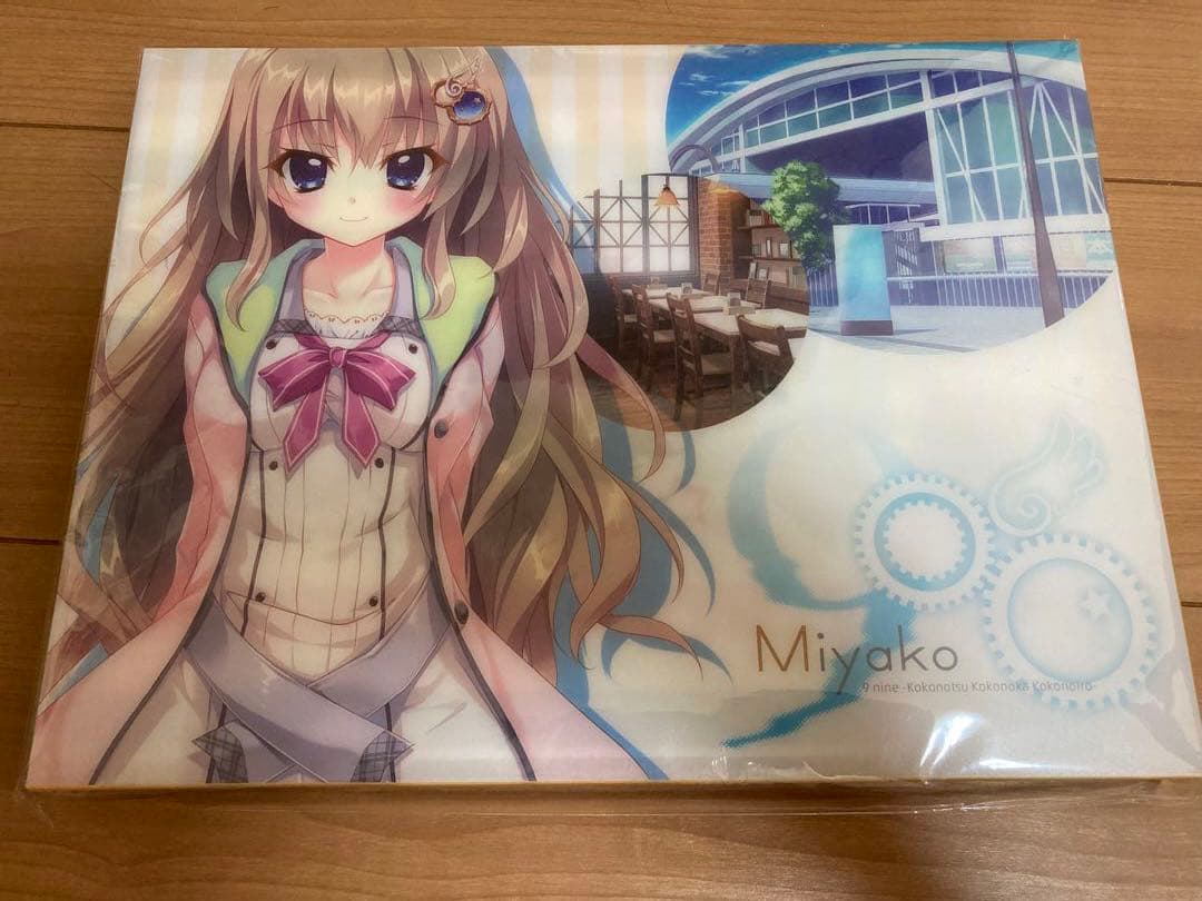 WF2025 ホシノ レジン 新品