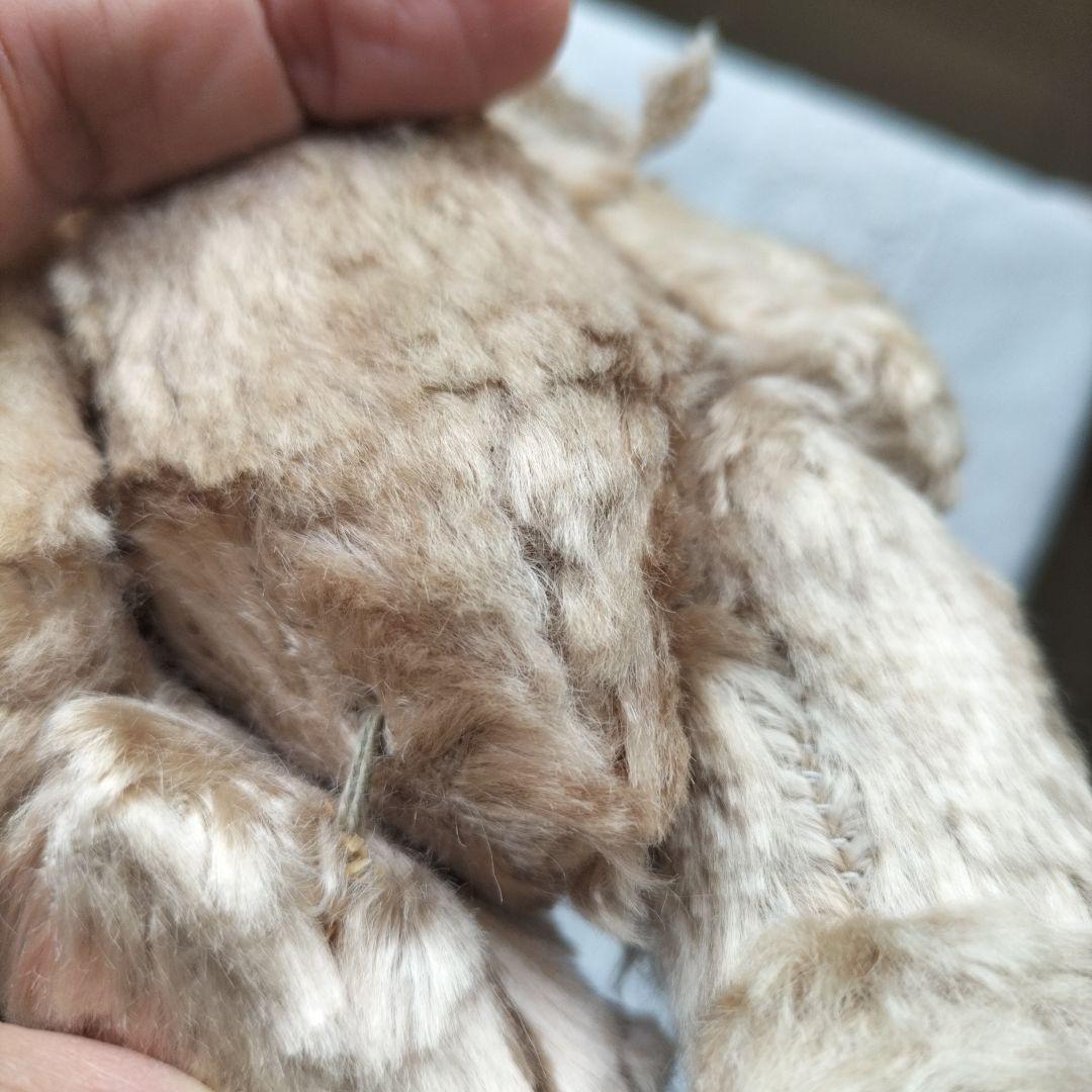 ビンテージ テディベア Dakin ポーリッシュベア ベージュ - メルカリ