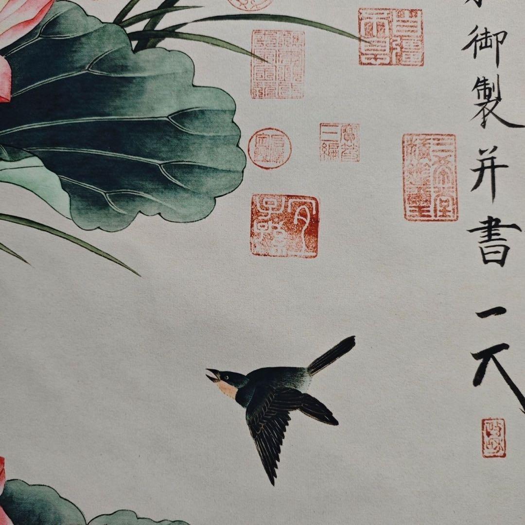 四尺中堂 中国伝統 花鳥画 荷花双鴛 掛け軸 蓮・鴛鴦図 - メルカリ