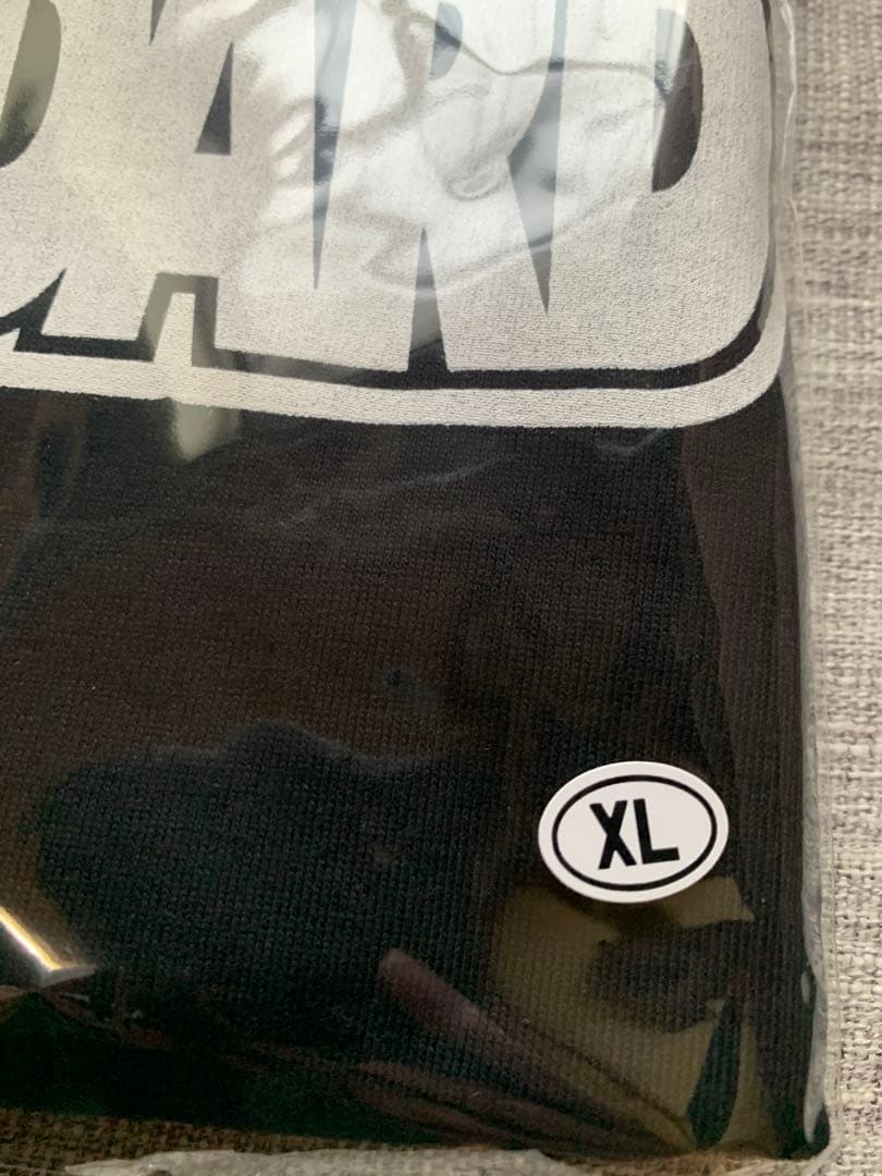 Hi-STANDARD FAT Wreck Chords L/S Tシャツ XL