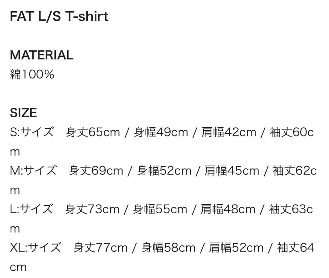 Hi-STANDARD FAT Wreck Chords L/S Tシャツ XL
