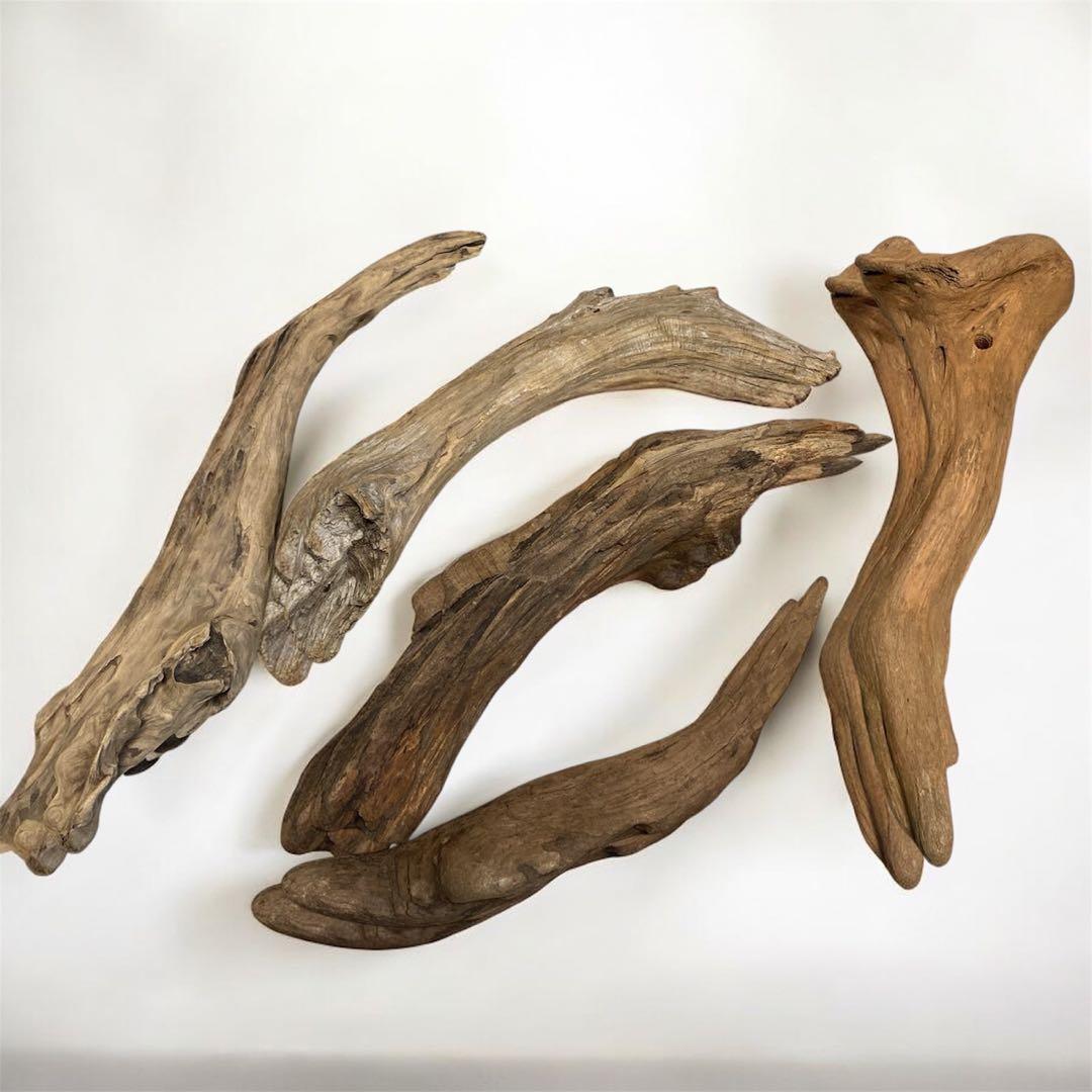 水槽 大きい流木 5点セット⚫︎アクアリウム イモリウム 天然流木 レイアウト 水槽 大きい流木 5点セット⚫︎アクアリウム イモリウム 天然流木