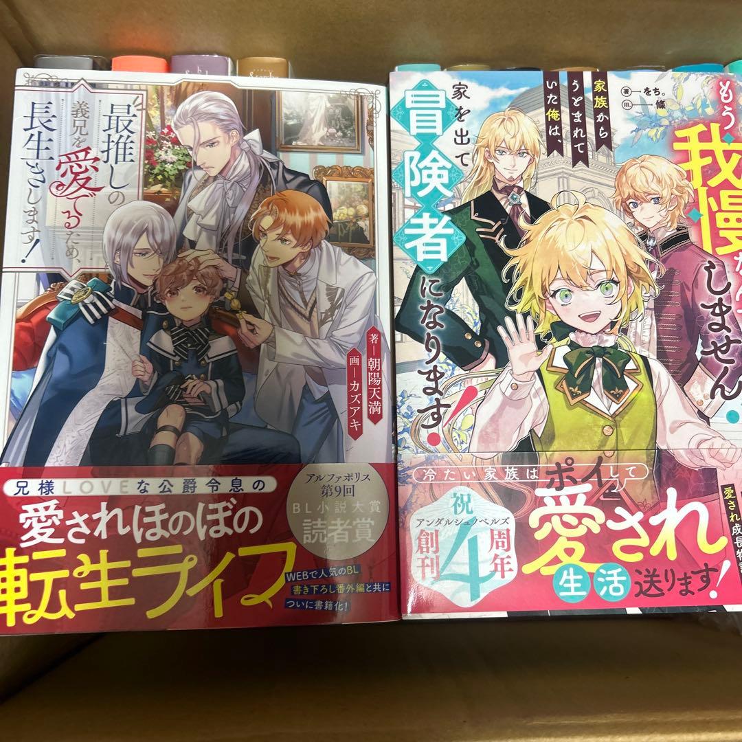 bl小説大判サイズ纏め売りセット　アンダルシュノベルズ他