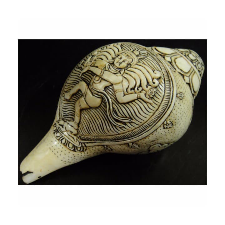 ◇チベット密教法具 法螺貝（シャンカ）ナタラージャ（ダンシングシヴァ）1