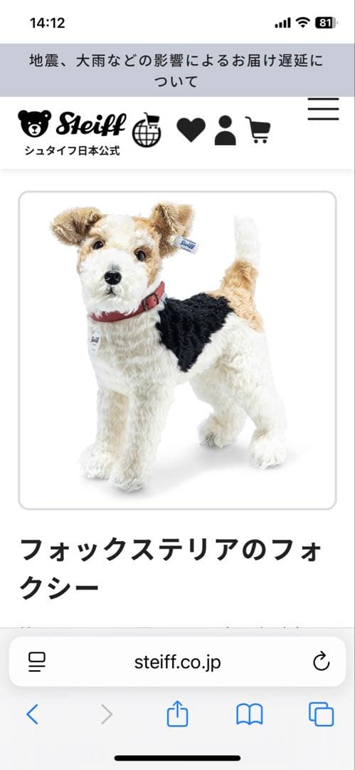 新品　シュタイフ　フォックステリアフォクシー　 35cm