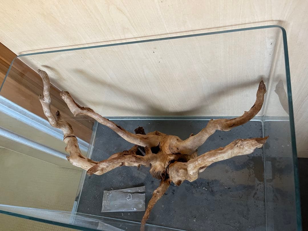 水槽用流木 大きめ 自然な枝状