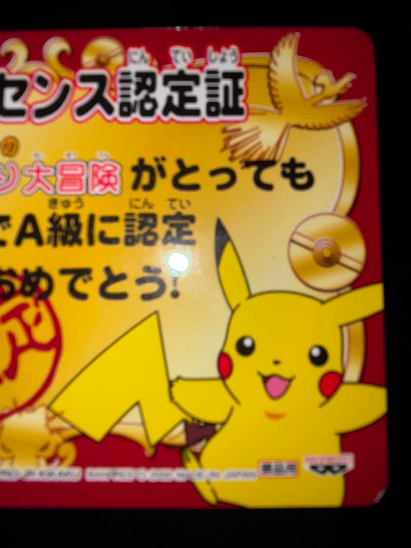A級ライセンス　認定証　ピカチュウ　なみのり大冒険　ポケモン　2種