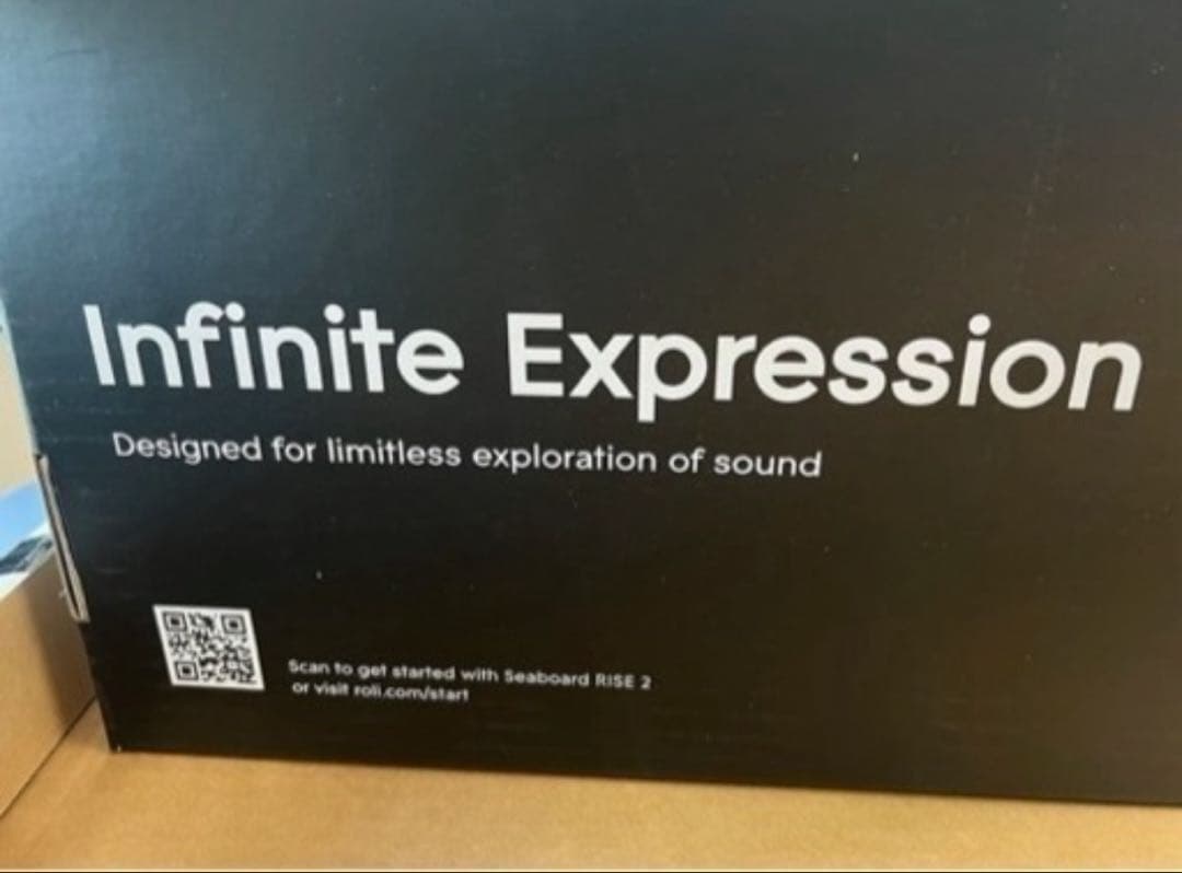 超希少／今だけ値下げ中】日本では未販売のSeaboard Rise 2