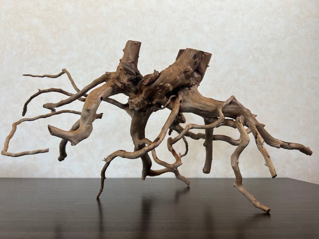 63001 ブランチウッド 流木 アクアリウム 沈水確認済