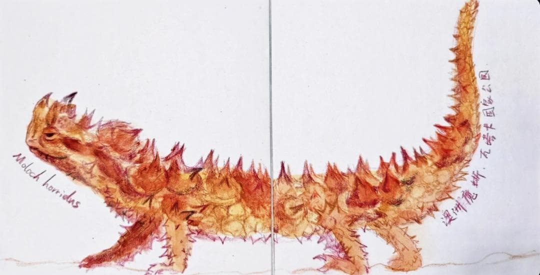 色鉛筆48色-うさこ様-12セット