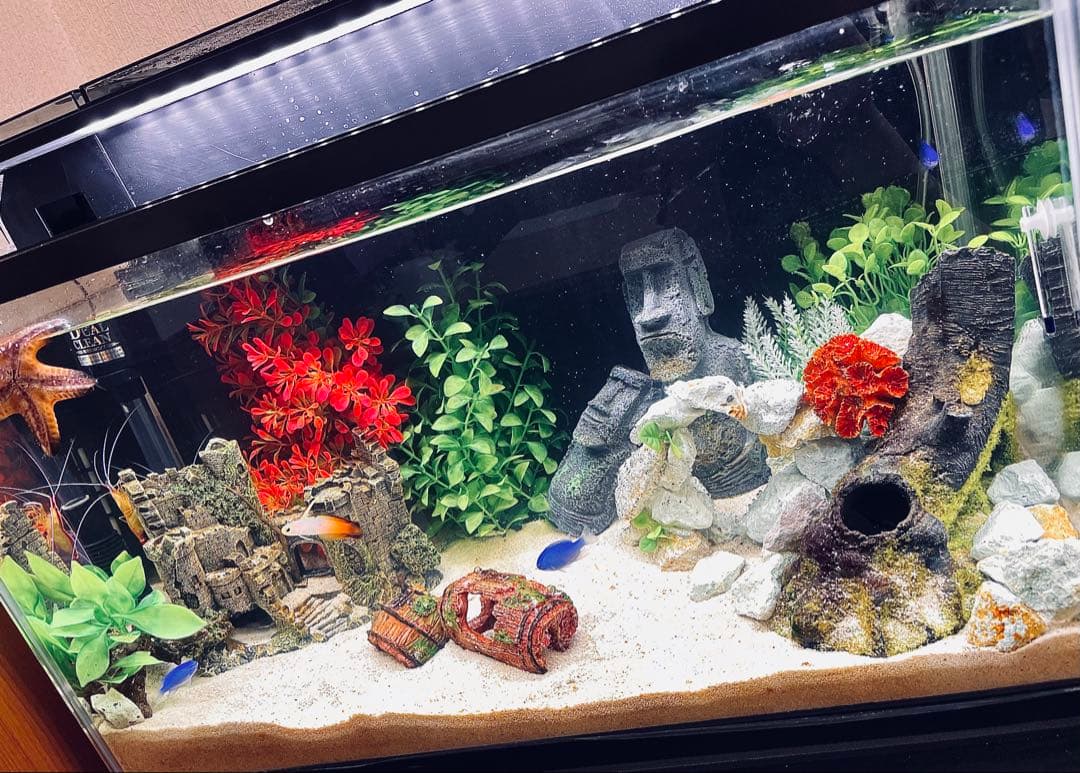 「値下げ交渉可！」GEX デュアルクリーン600 60cm水槽セット