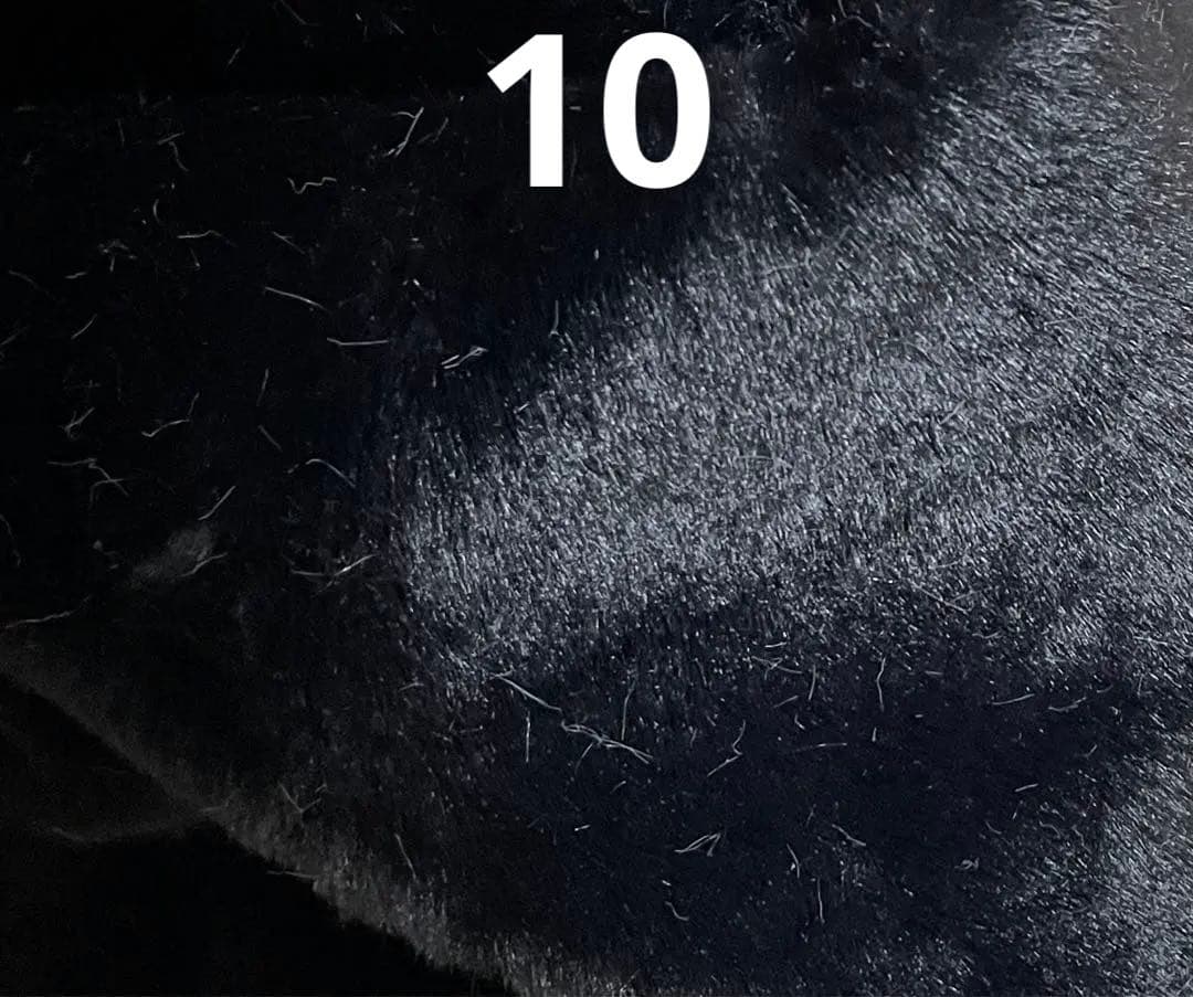 生地色確認用レース、チェック、チャイナ生地あり