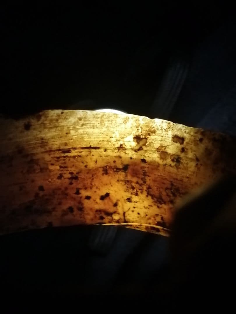 ☆古墳初期『玉石垂飾輪』出土品。玉石 230g 埋蔵文化財 非常に